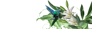 LDPE Recycling: What You Need to Know for a Greener Future