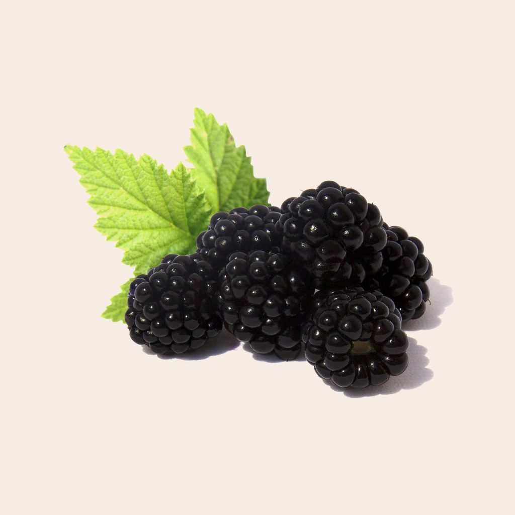 Blackberries, fruit, health — Bruce Hensel: Expert Advice on Physical and Mental Health