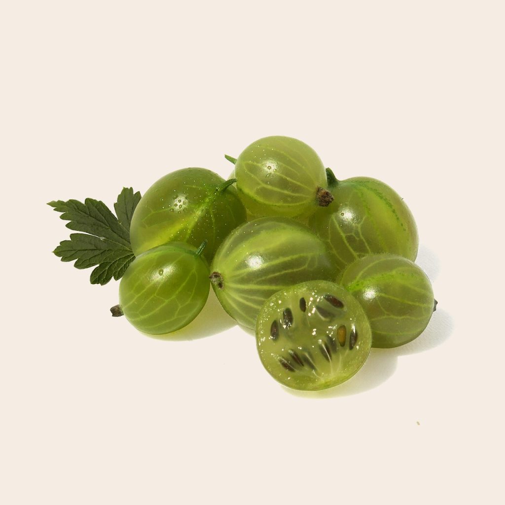 Gooseberry, fruit, health — Dr. Edward Lubin Supporting Patients in Maintaining Long-Term Health and Wellness