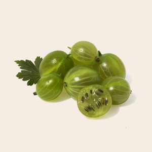 Gooseberry, fruit, health — Dr. Edward Lubin Supporting Patients in Maintaining Long-Term Health and Wellness