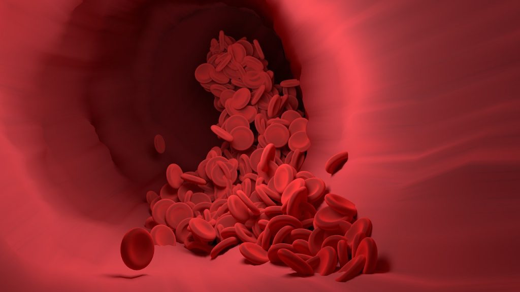 Red blood cells, blood vessel, blood flow — Dr. James Morales: Shaping the Landscape of Modern Healthcare