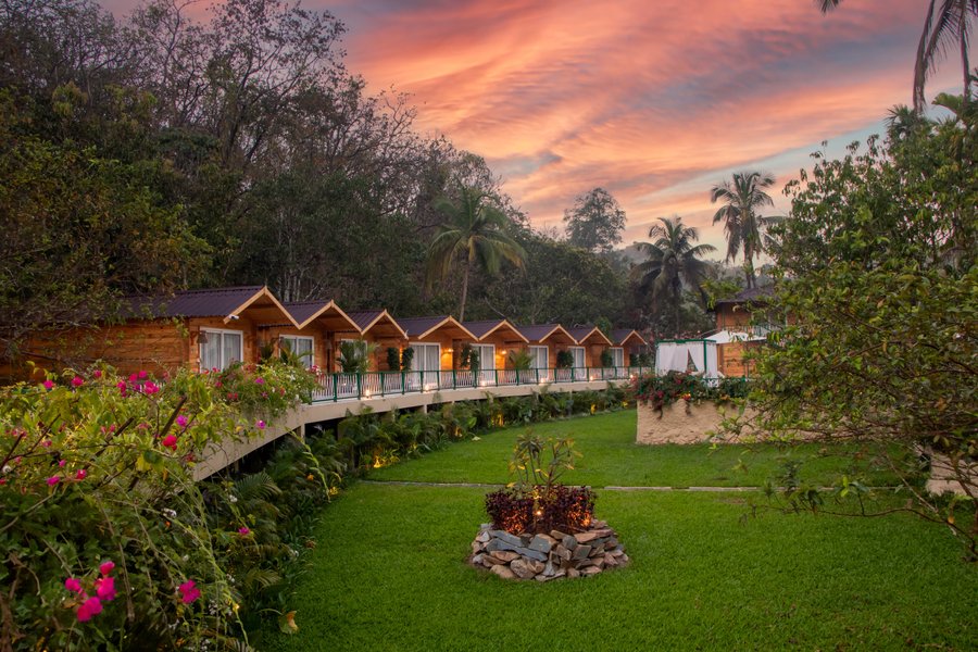 Forest Stays in Dandeli for Groups, Families and Nature-First Travellers