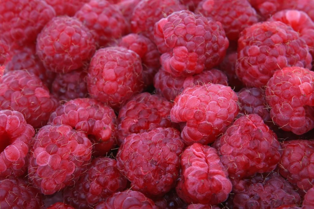 Raspberries, red, fruits — Your Trusted Partner in Preventive Health: Family Doctors in Fort Worth
