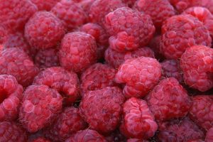 Raspberries, red, fruits — Your Trusted Partner in Preventive Health: Family Doctors in Fort Worth